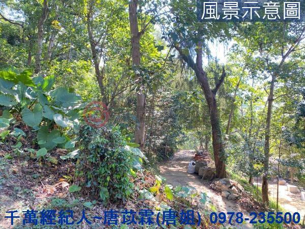 北區山坡地-10
