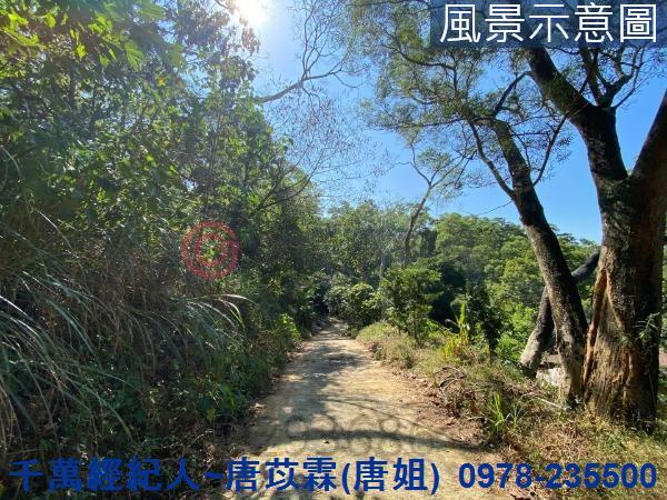 北區山坡地-11
