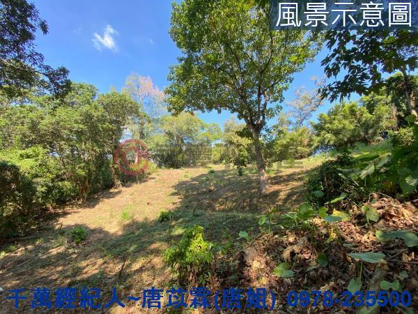 北區山坡地-13