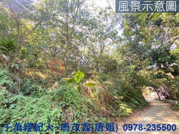 北區山坡地-15