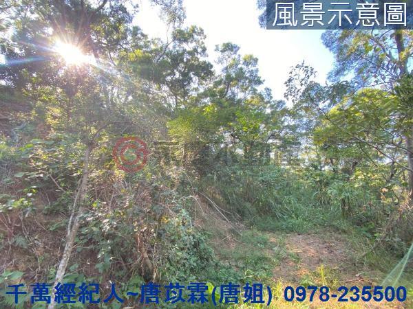 北區山坡地-3