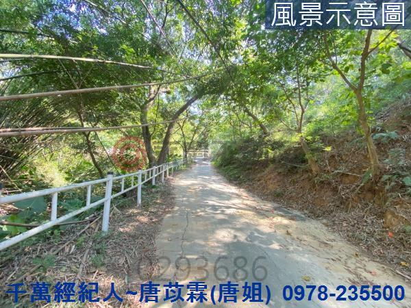 北區山坡地-5