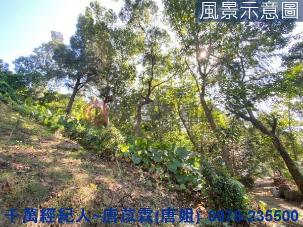 北區山坡地-8