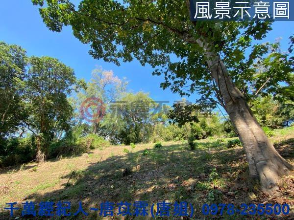 北區山坡地-9