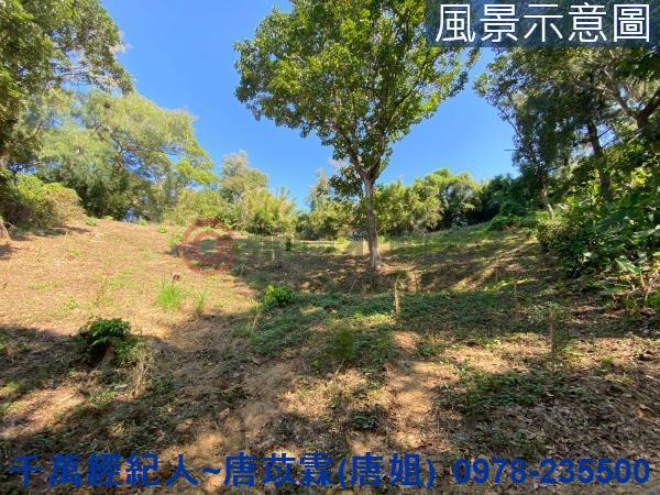 北區山坡地-6