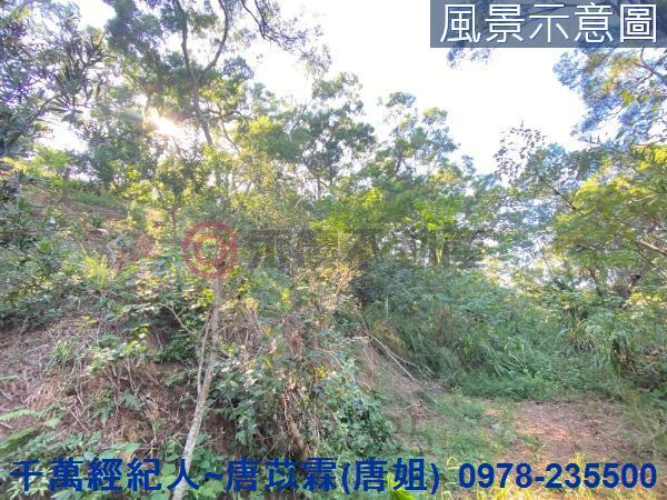 北區山坡地-4