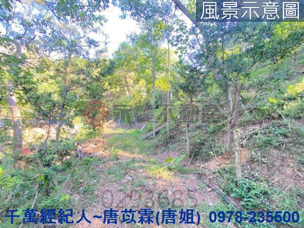 北區山坡地-5