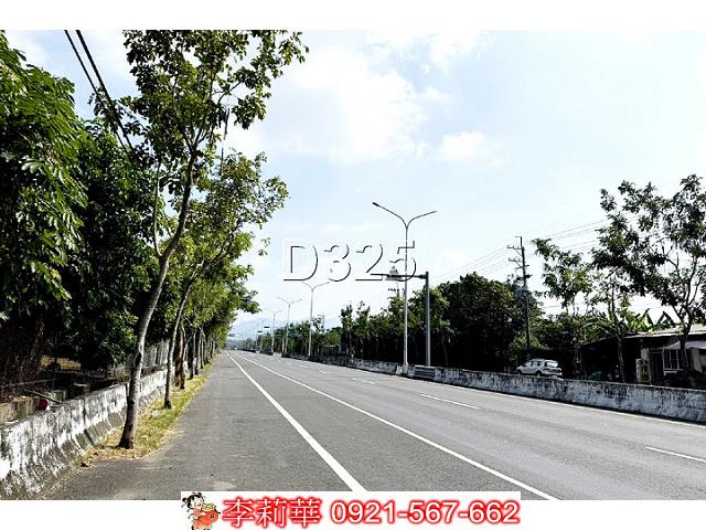 玉井農地-4