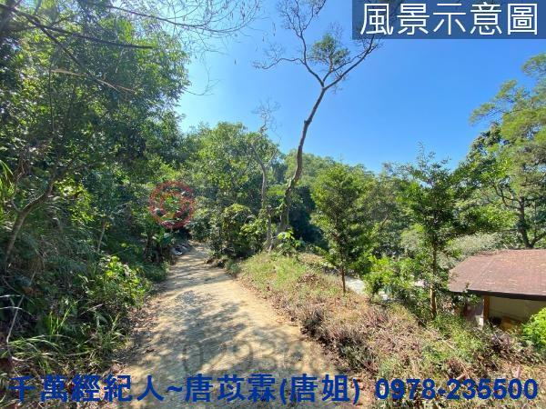 北區山坡地-10