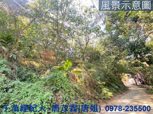 北區山坡地-14