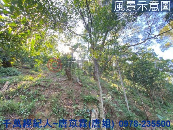 北區山坡地-2