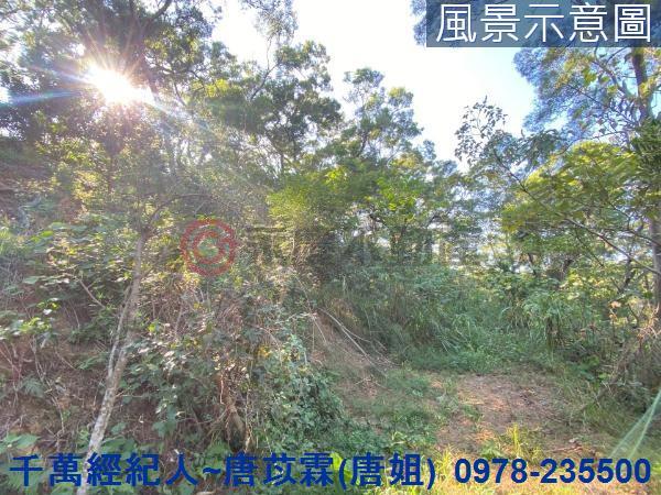 北區山坡地-3