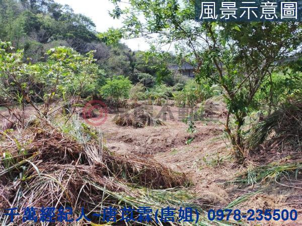 新竹農地-4