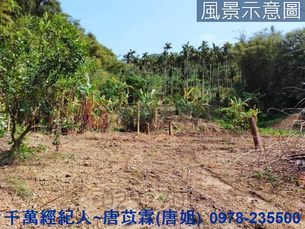 新竹農地-5