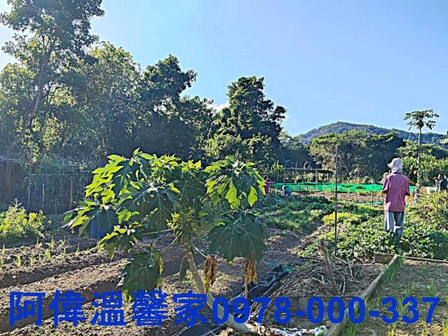 新竹農地-5