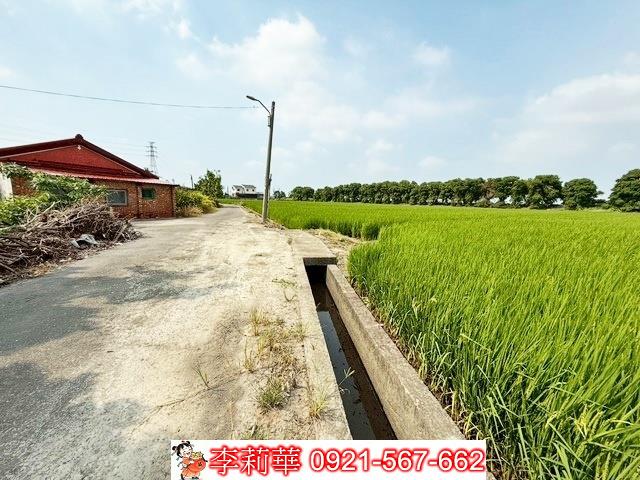 新營農地-1