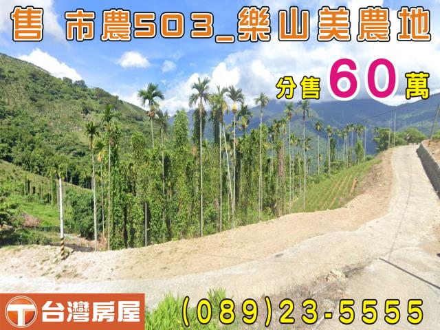 台東太麻里農地-1