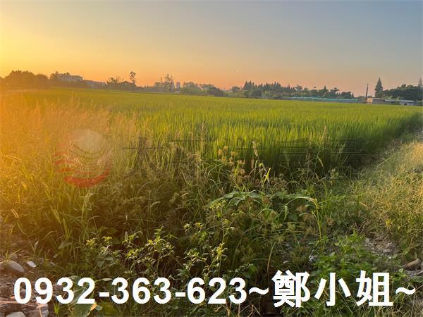 桃園農地-2