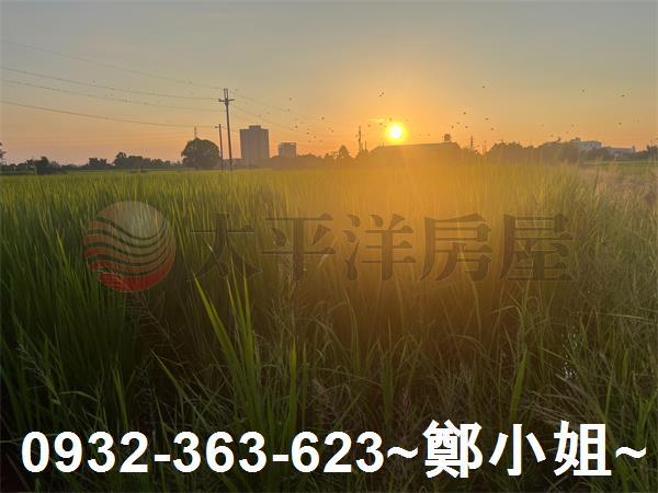 桃園農地-3