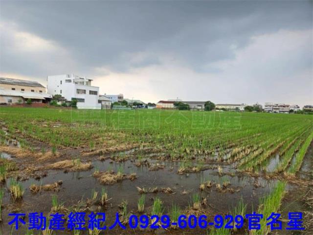 嘉義農地-2