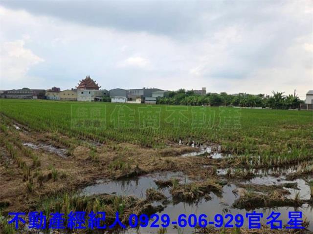 嘉義農地-3