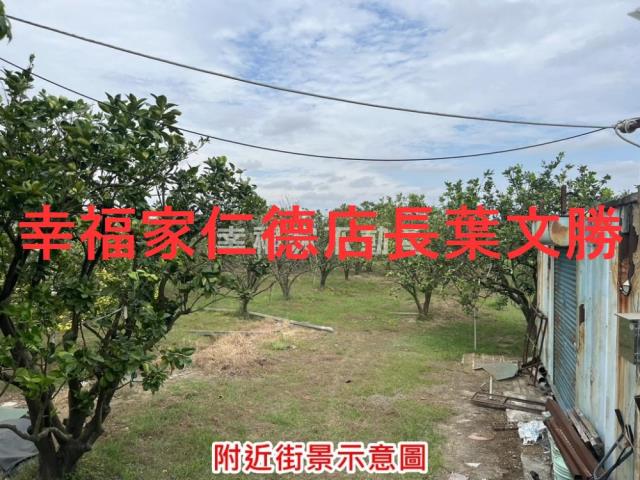 台南麻豆農地-14