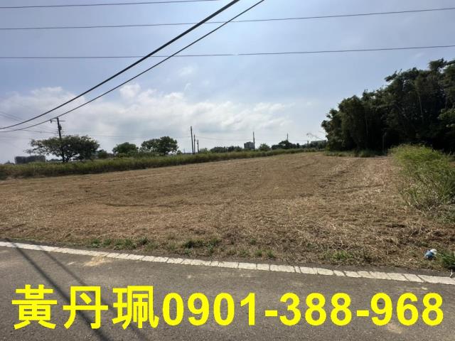 大園農地-4
