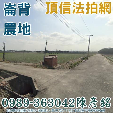 崙背農地法拍-1