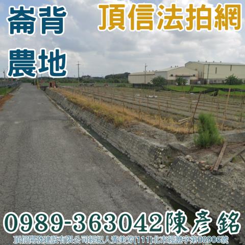 崙背農地法拍-2