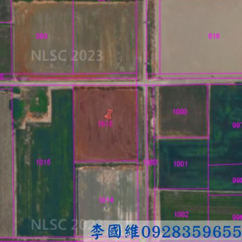 彰化芳苑法拍農地-3