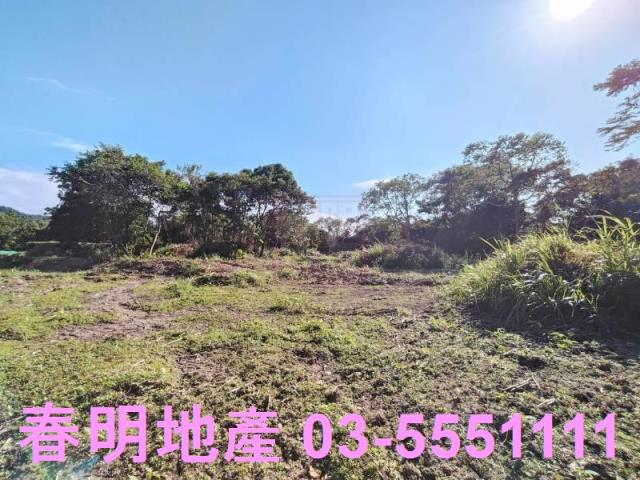 新竹關西農地-1