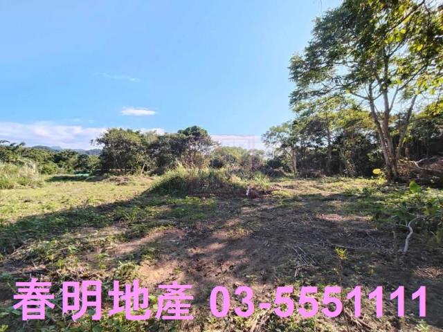 新竹關西農地-4