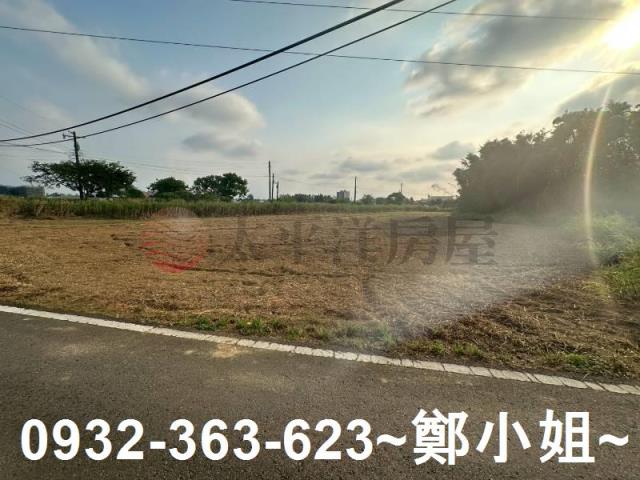 桃園大園農地-11