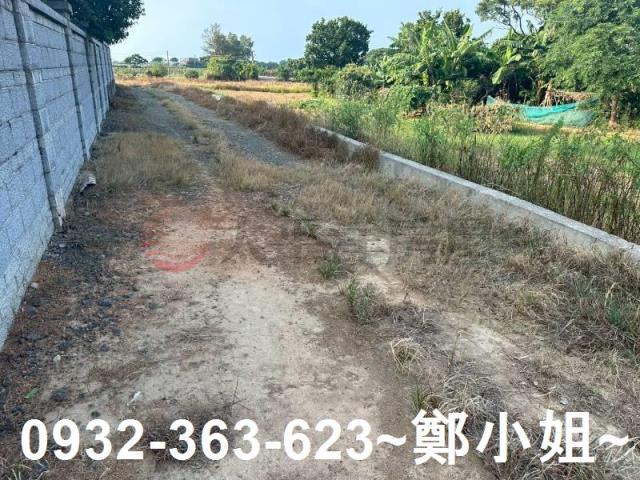 桃園大園農地-1