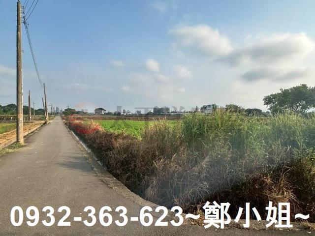 桃園大園農地-5