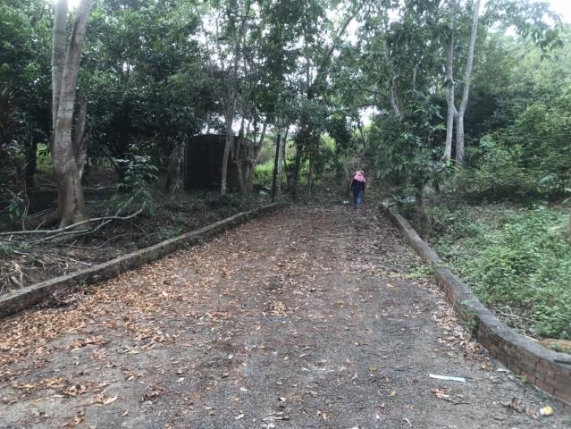 南投鹿谷農地-13