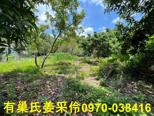 嘉義東區農地-1