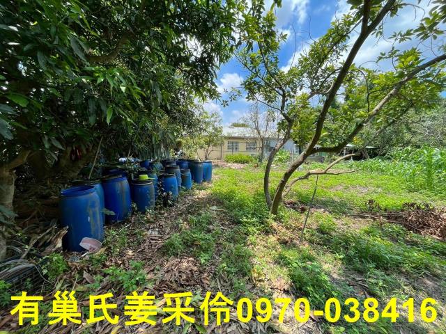 嘉義東區農地-2