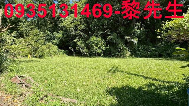 新竹關西農地-6