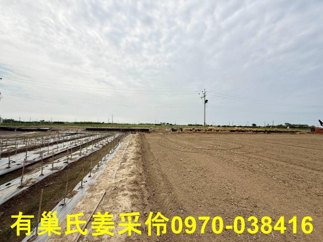 嘉義朴子農地-12