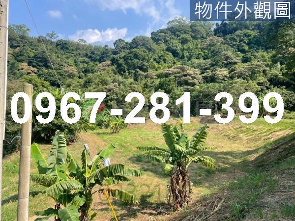 苗栗三灣農地-14