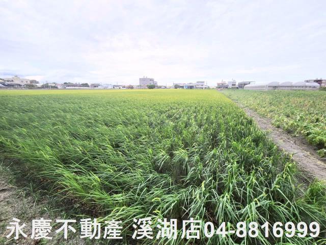 彰化埤頭農地-1
