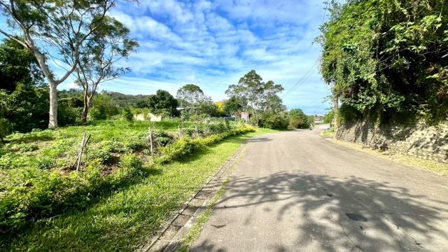 新竹竹東農地-14