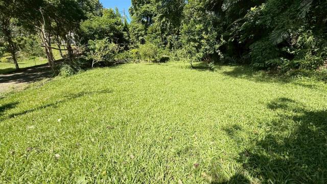 新竹關西農地-7