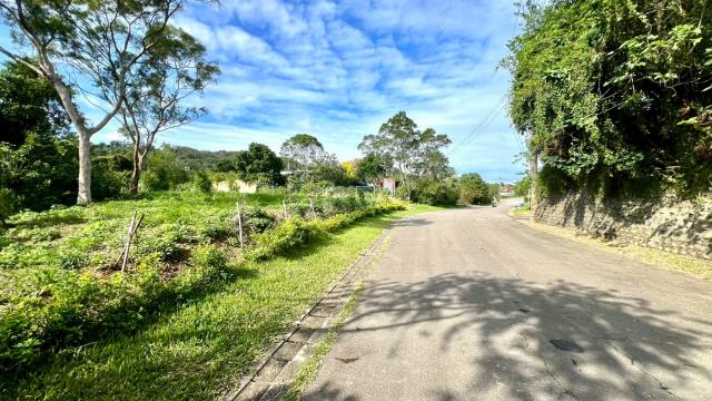 新竹竹東農地-1