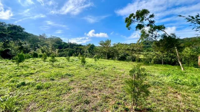 新竹竹東農地-6