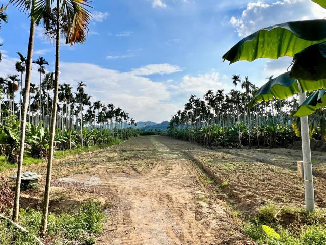 南投中寮農地-5