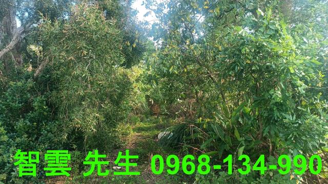 桃園觀音建地-3