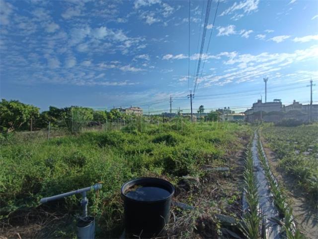 大樹農地-1