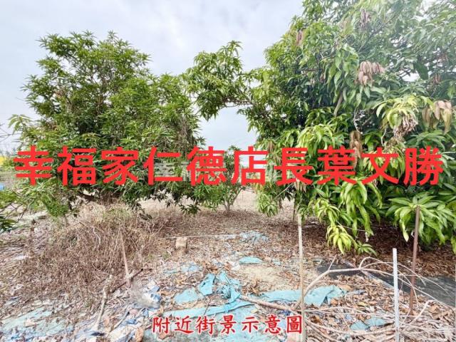 台南新營農地-12